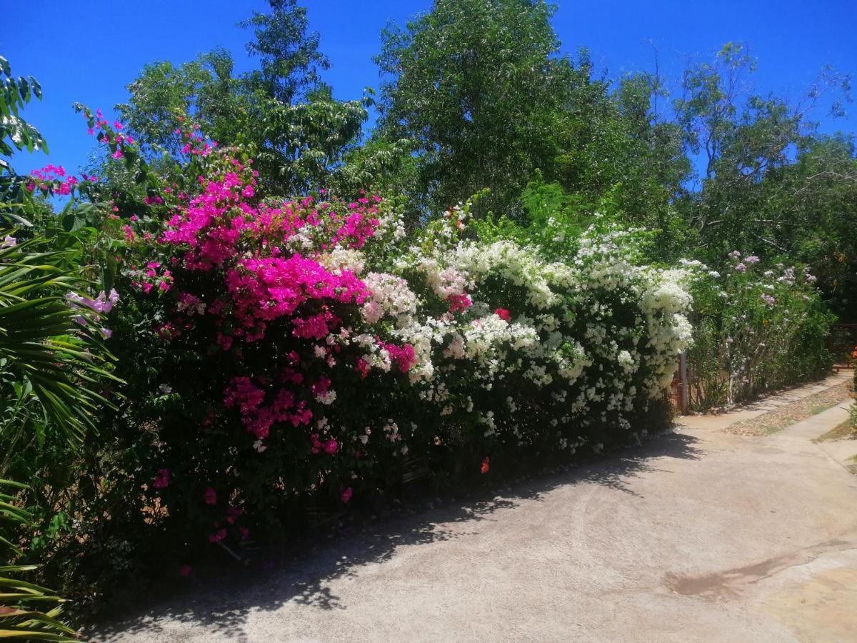 Genevieve Guest House And Tours Siquijor Exterior photo